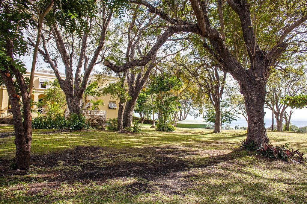 Отель Colleton Great House Сент-Питер Экстерьер фото